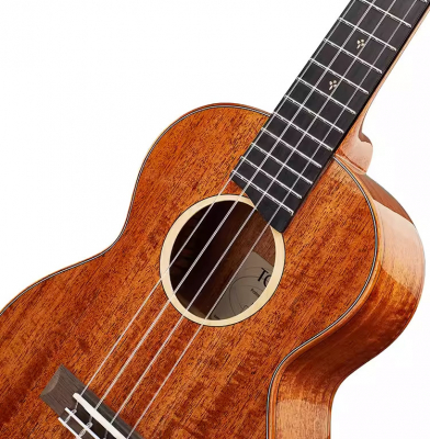 Укулеле Концерт TOM T7HF с чехлом в комплекте
